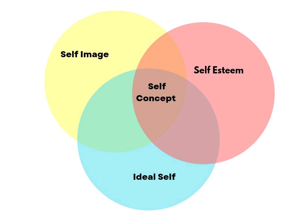what does the concept presentation of self mean
